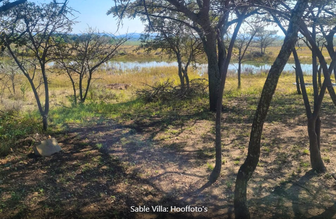 Screenshot 2024-11-22 133942